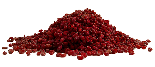 Barberry